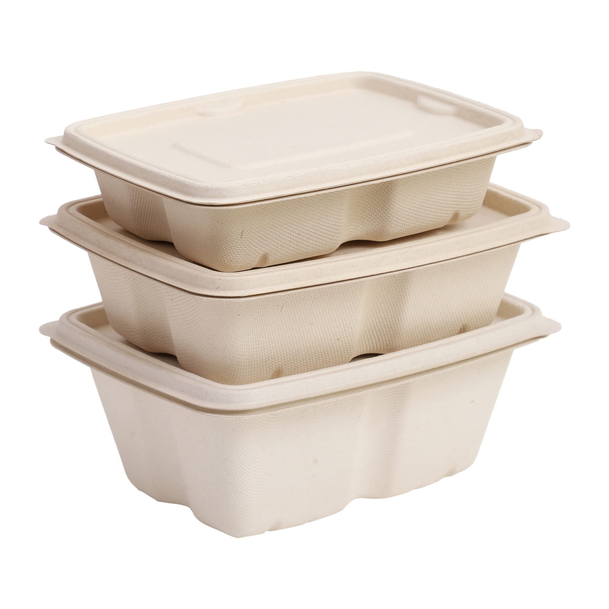 Delivery Container (Box with lid)